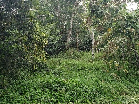 2nd image of 27th Avenue Palapalai Lot 728