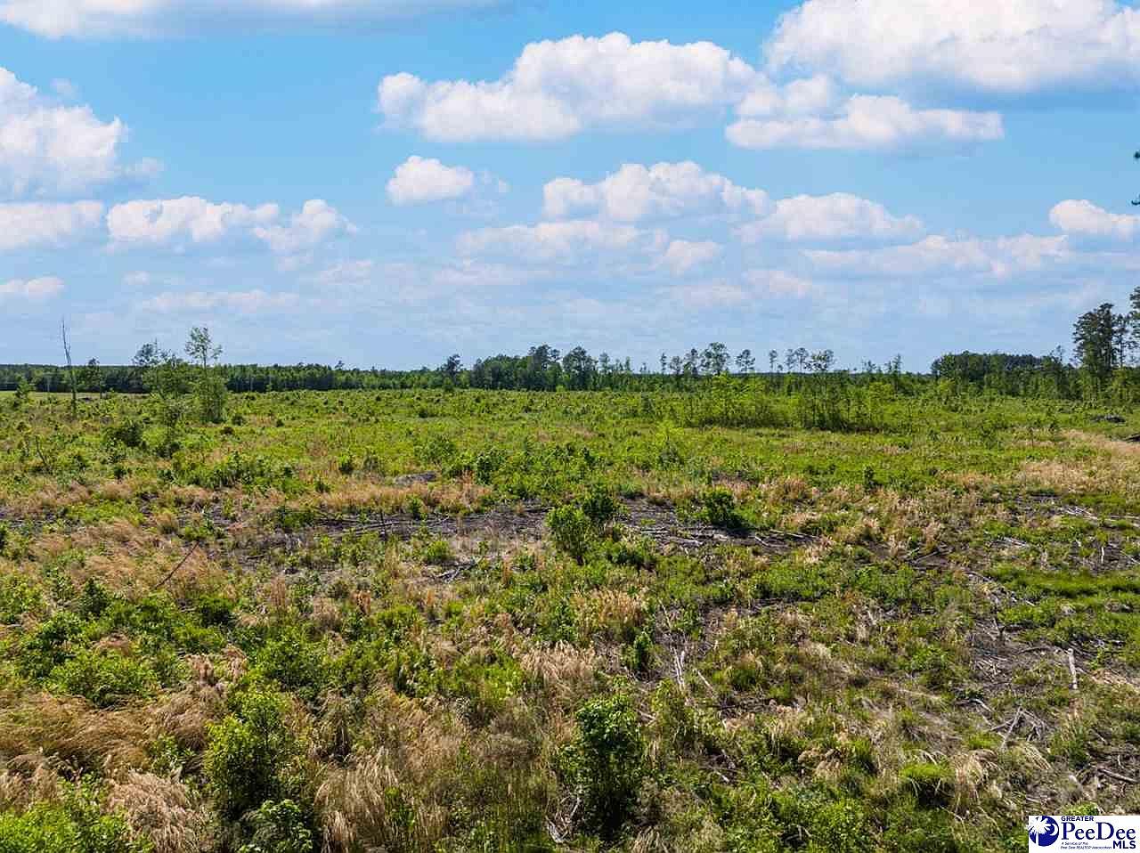 Tbd Tabernacle Rd, Pamplico, SC 29583 MLS 20231516 Zillow
