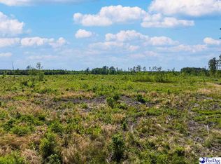 Tbd Tabernacle Rd, Pamplico, SC 29583