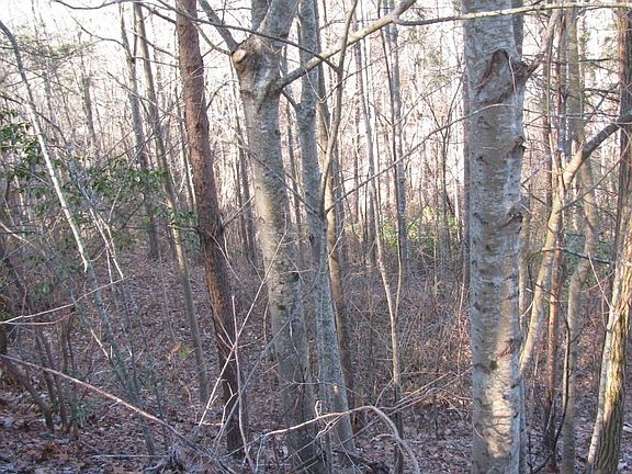 2nd image of Chancey Dr #97