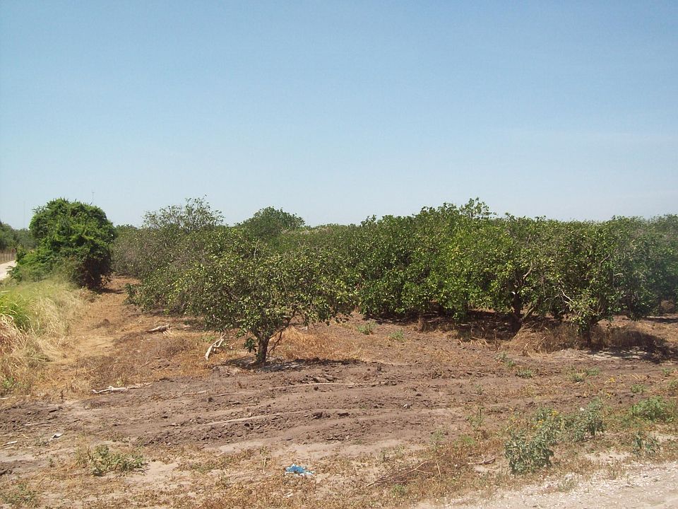 2nd image of Tbd Falt Ln