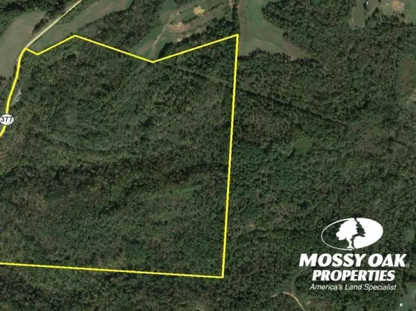 9394 State Route 377, Chesterhill, OH 43728