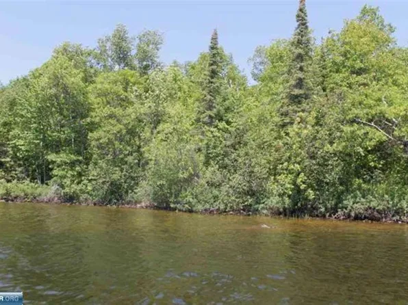 Lots 5 6 7 Grassy Point, Cook, MN 55723