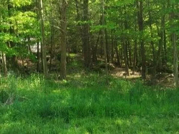 1777 Roamingwood Ct, Lake Ariel, PA 18436