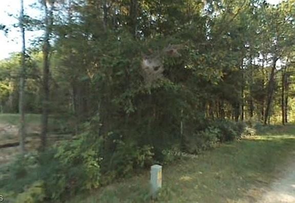 2nd image of 0 Red Fern Ln Lot 2