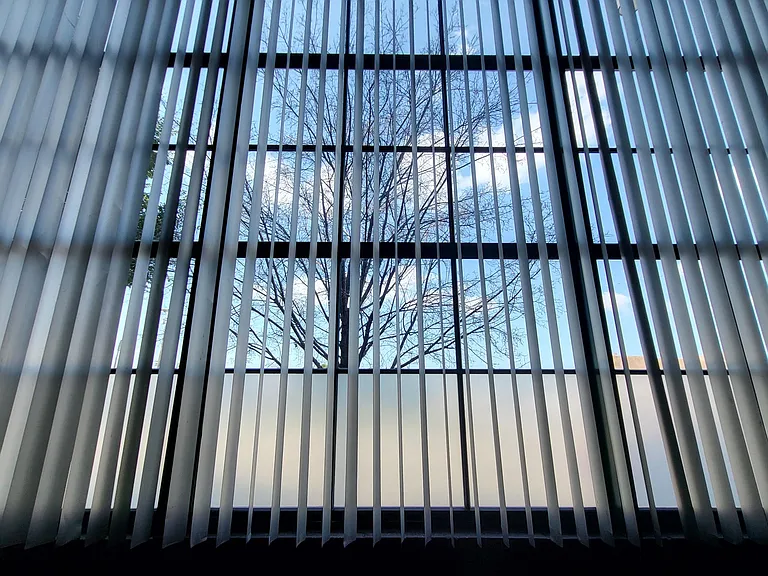 Front window