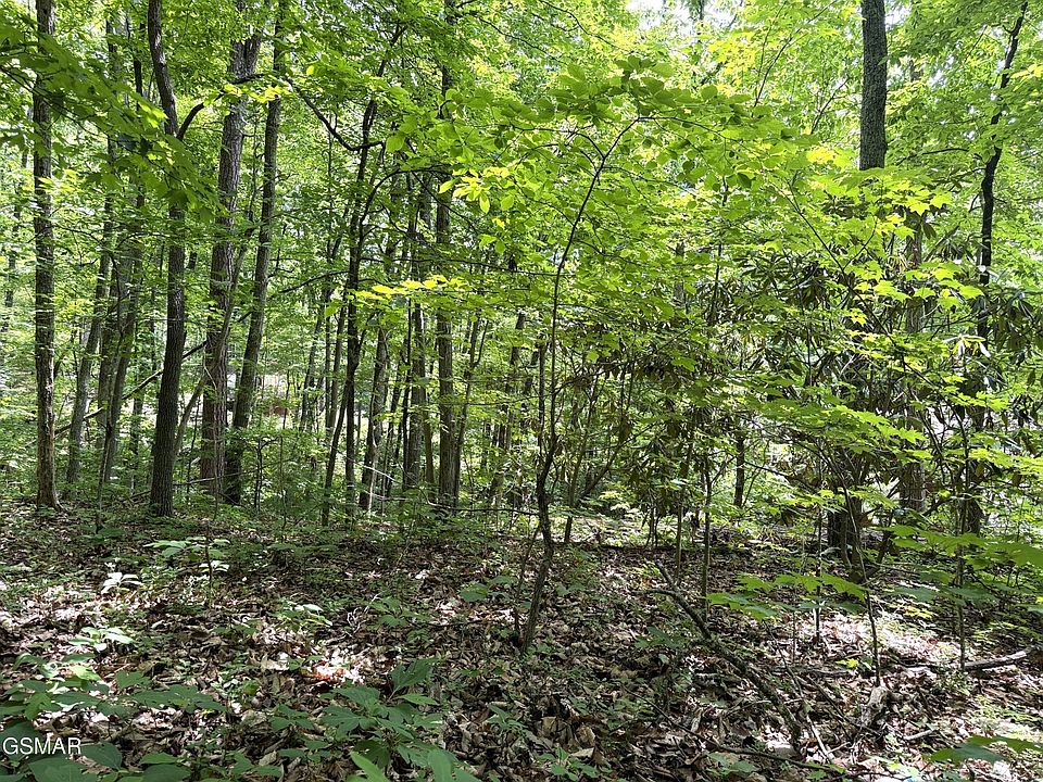 1st image of 10 Swan Saddle Lot 10