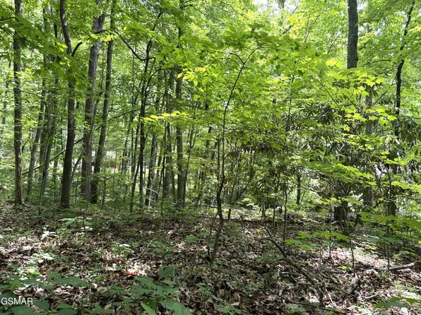 10 Swan Saddle Lot 10, Sevierville, TN 37876