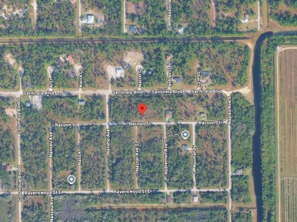 1229 Racoon ST E, LEHIGH ACRES, FL 33974