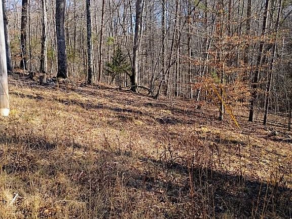 5th image of 0 County Line Rd S