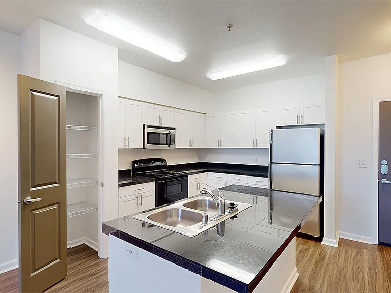 Apartment kitchen with wood-style flooring.
