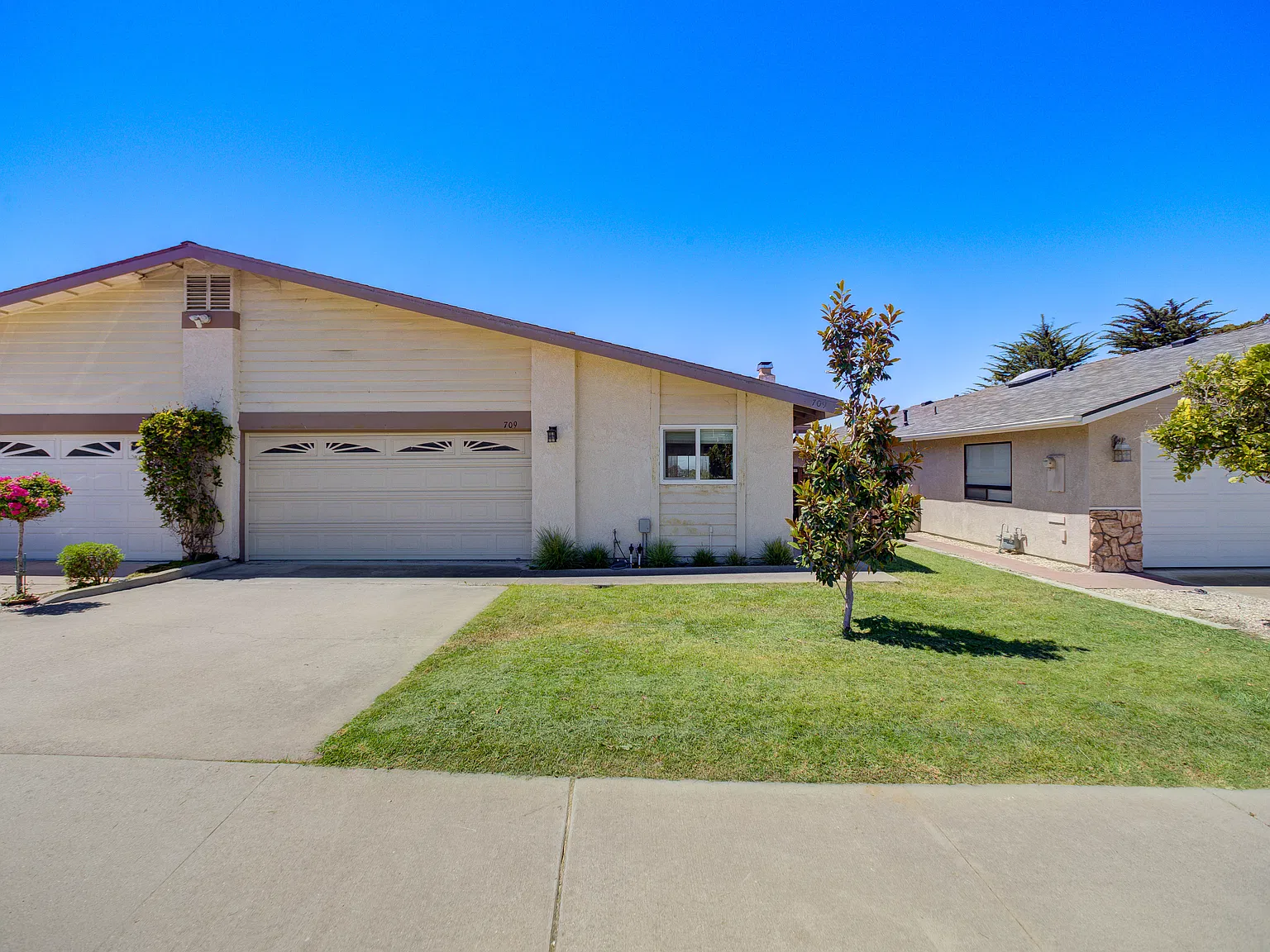 709 Shamrock Ln — Photo 2