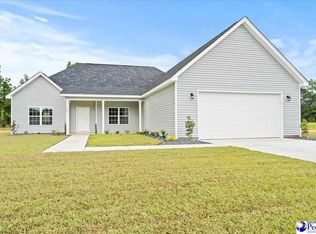 5301 Meadow Prong Rd, Effingham, SC 29541