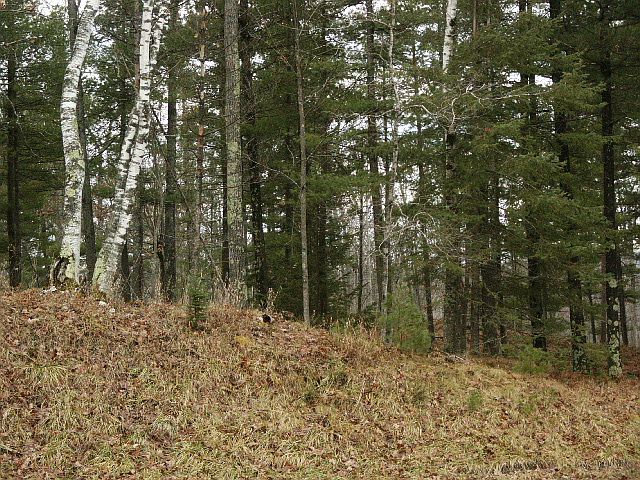1st image of Tbd Upper Pine Creek Rd.