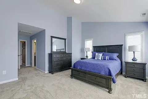 1232 Brown Velvet Ln — Photo 15