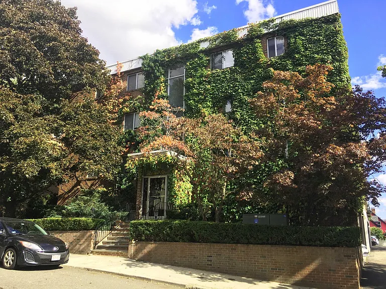 41-1B Belmont St — Photo 11