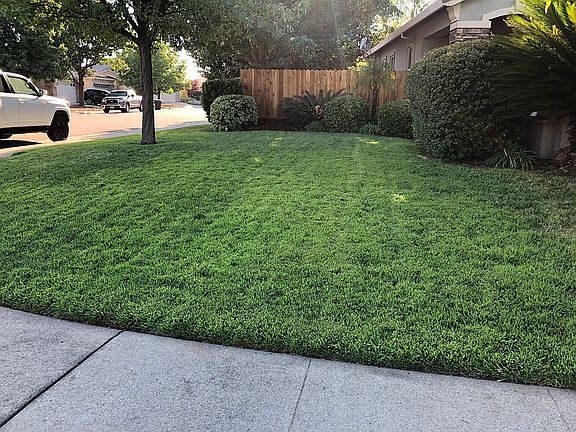 5th image of 535 Gage Ct