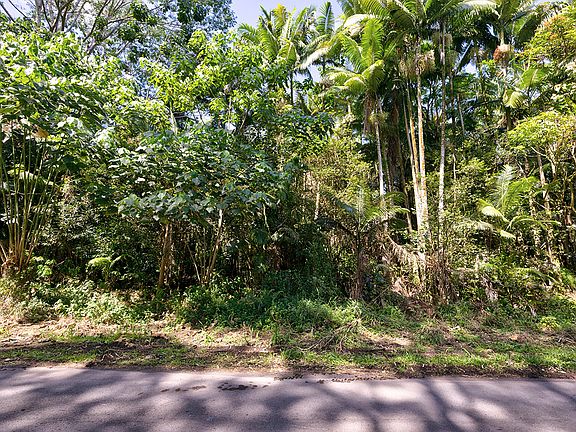 3rd image of LOT 18 D
