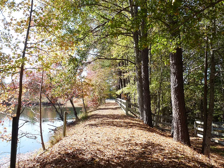 Beautiful path connecting the barn and main pasture.