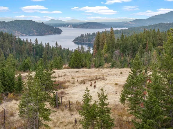 Nna E Gotham Bay Rd, Harrison, ID 83833