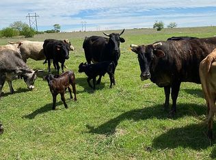 20572 N County Road 3300, Wynnewood, OK 73098