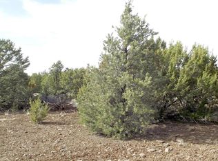 10702 N Falcon Ridge Rd, Williams, AZ 86046