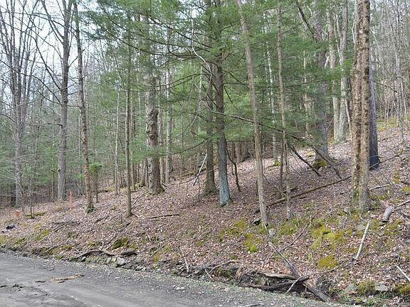 3rd image of 4235 Bellinger Hollow Rd #40