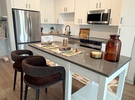 Ellison Museum District