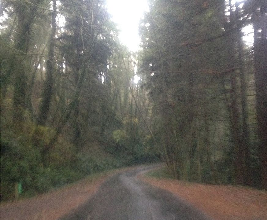 1st image of 11940 Vashon Hwy SW