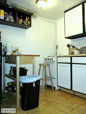 Rented by Native Real Estate LLC | media 11