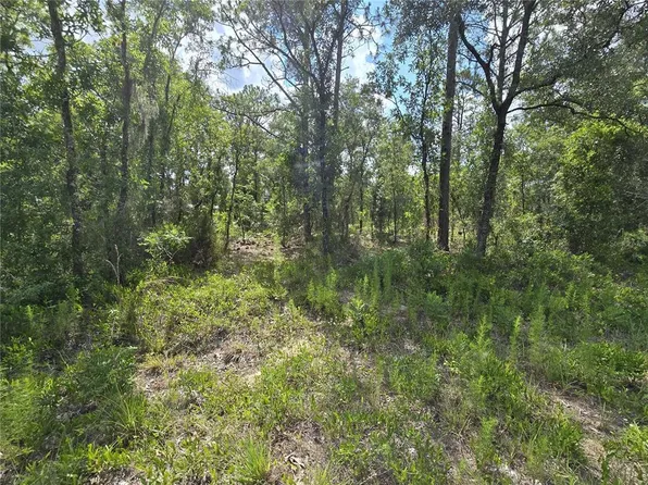 00 NE 121ST AVENUE, WILLISTON, FL 32696