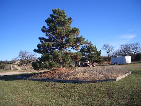 front yard