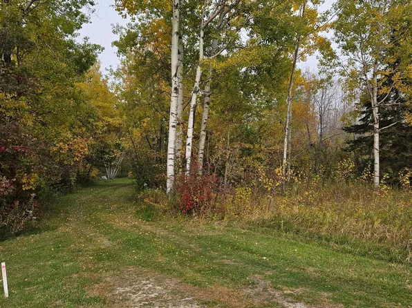 2970 30th St NW, Baudette, MN 56623