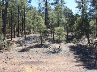 4561 W White Oak Ln #137, Show Low, AZ 85901