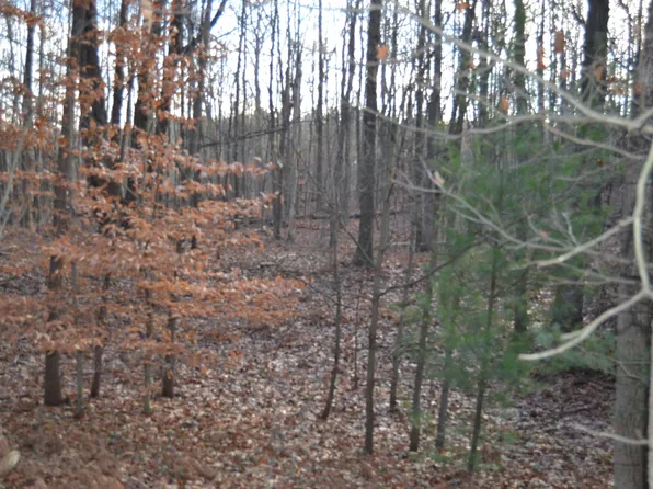 0 128th Ave, Fennville, MI 49408