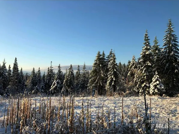 Camas Vis, Kamiah, ID 83536