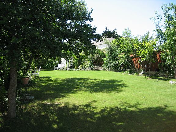 back yard