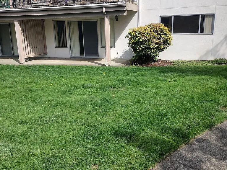 Greentree Apartments — Photo 6