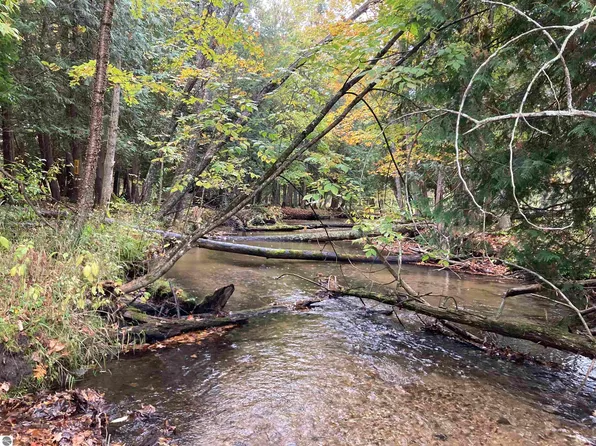 Vl 3.08 Acres Wilderness Trl, Kaleva, MI 49645