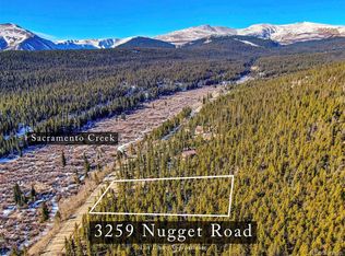 3259 Nugget Rd UNIT 484, Fairplay, CO 80440