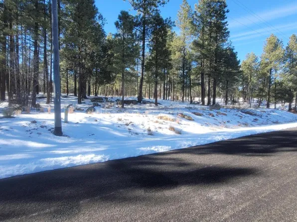 2904 SPARROW Drive #516, Happy Jack, AZ 86024