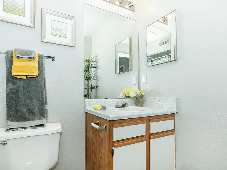 Updated Modern Bathroom