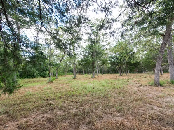 Grape Cir #1.2, Somerville, TX 77879
