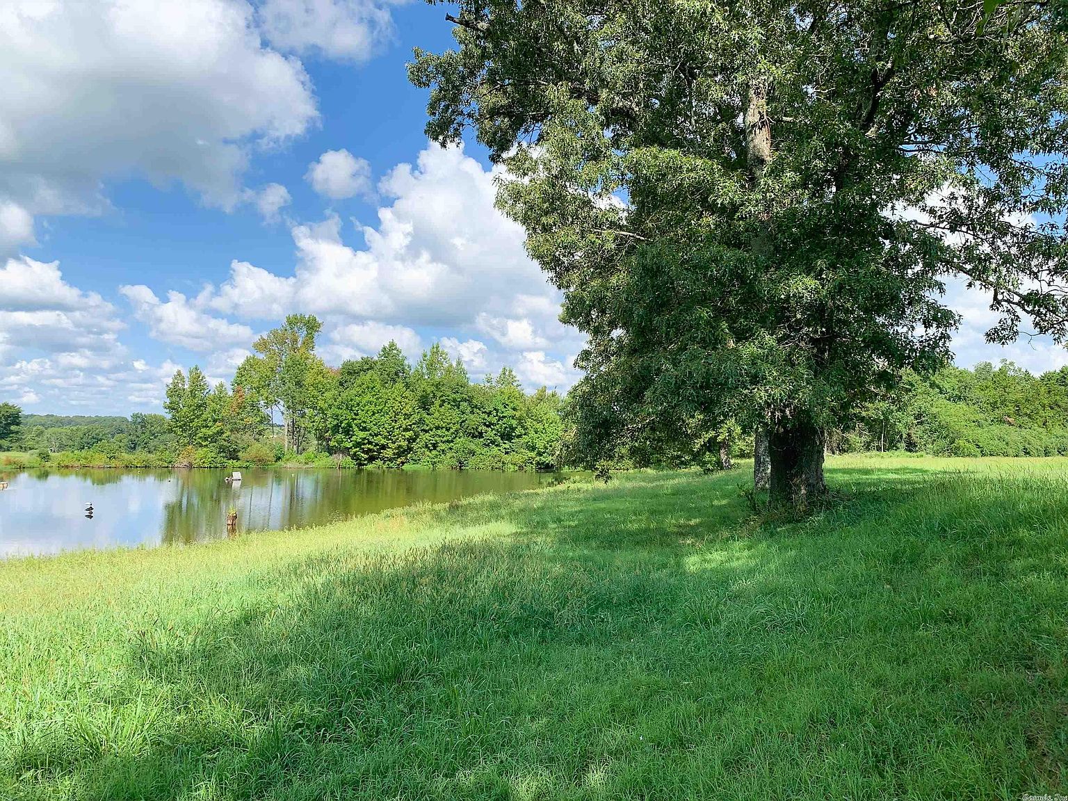 50 Buckeye Ln, Quitman, AR 72131 MLS 22029417 Zillow