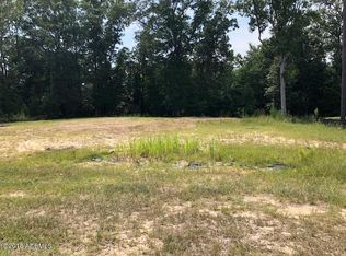 19 Daffodil Farm Rd, Bluffton, SC 29910