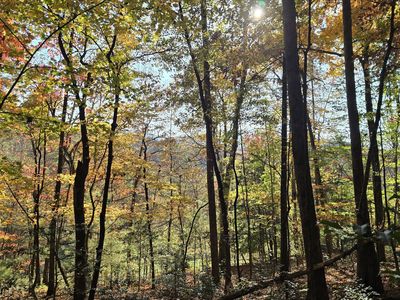 0 Highway 197 N, Clarkesville, GA, 30523