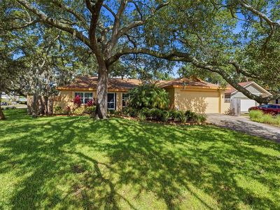 3301 BRIARWOOD LANE, Safety Harbor, FL, 34695
