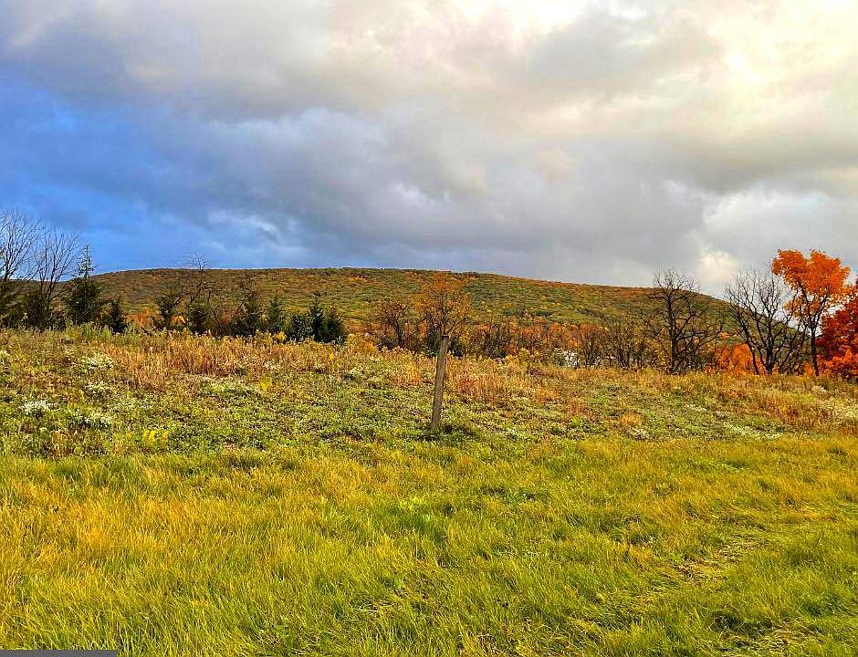 411 Farmhill Dr, State College, PA 16801 Zillow