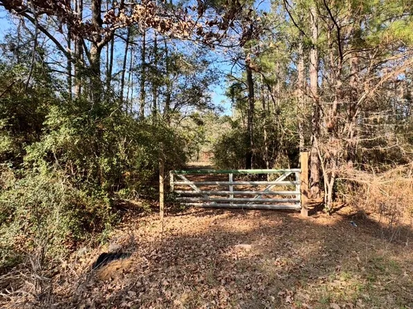 24728 Shady Oaks Blvd, Montgomery, TX 77316