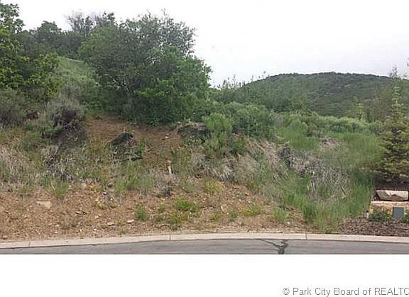 5th image of 2848 Deer Pointe Dr